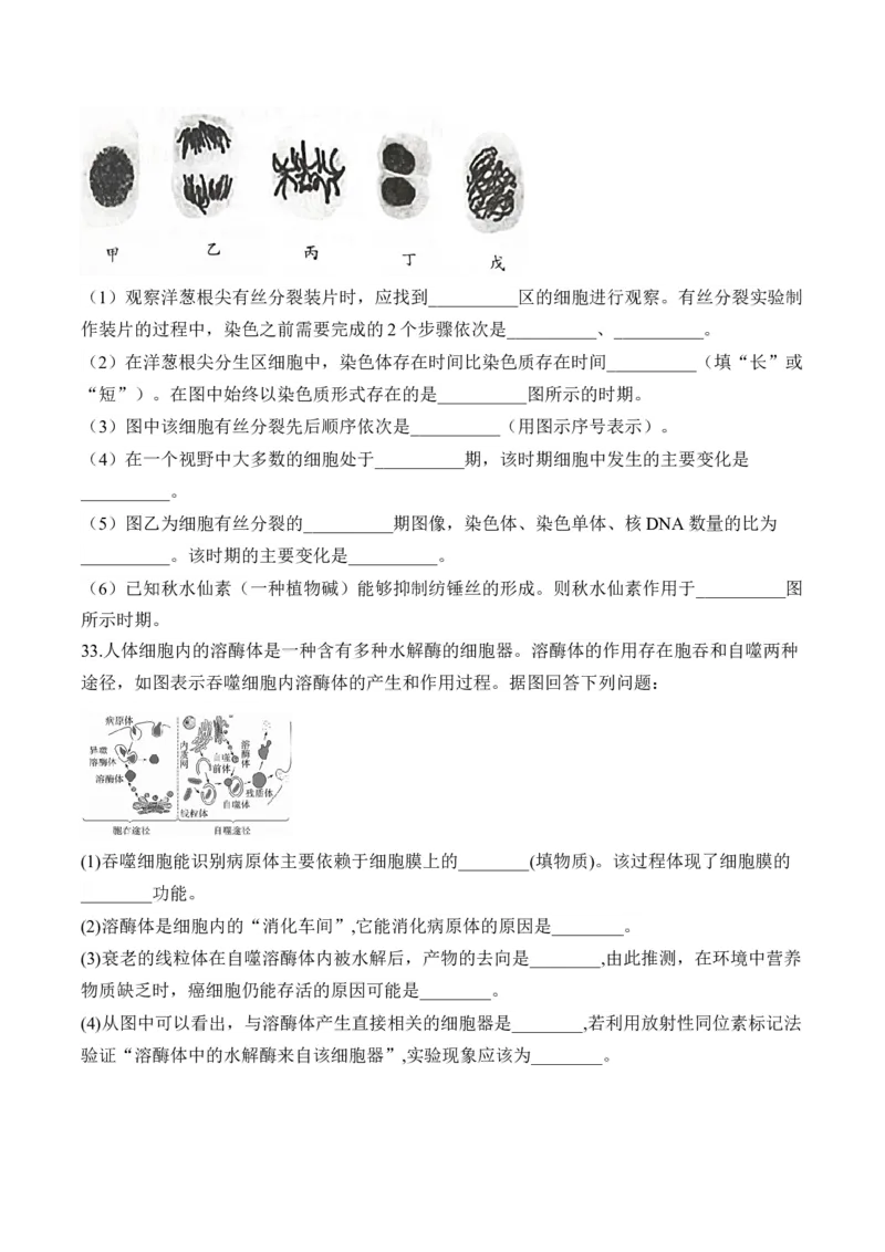 专题五细胞的生命历程&mdash;&mdash;2025届高考生物考点剖析（含解析）_2025年新高考资料_一轮复习_2025届高考生物一轮复习考点剖析练习（有解析）