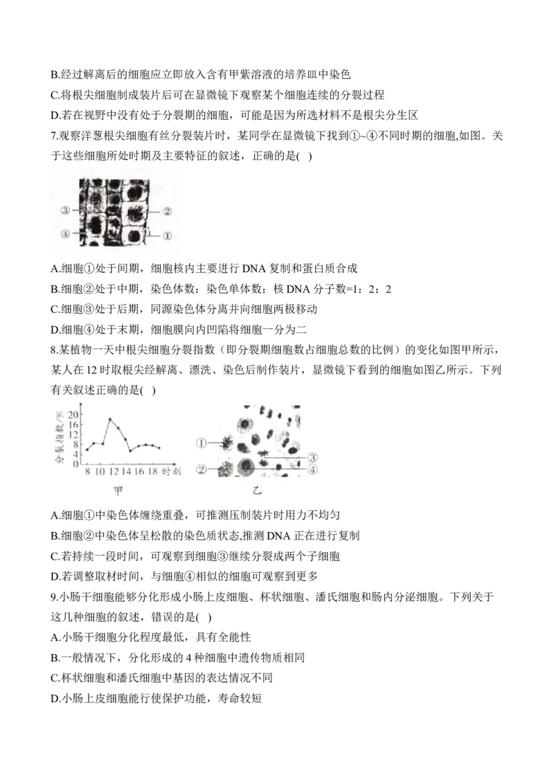 专题五细胞的生命历程&mdash;&mdash;2025届高考生物考点剖析（含解析）_2025年新高考资料_一轮复习_2025届高考生物一轮复习考点剖析练习（有解析）