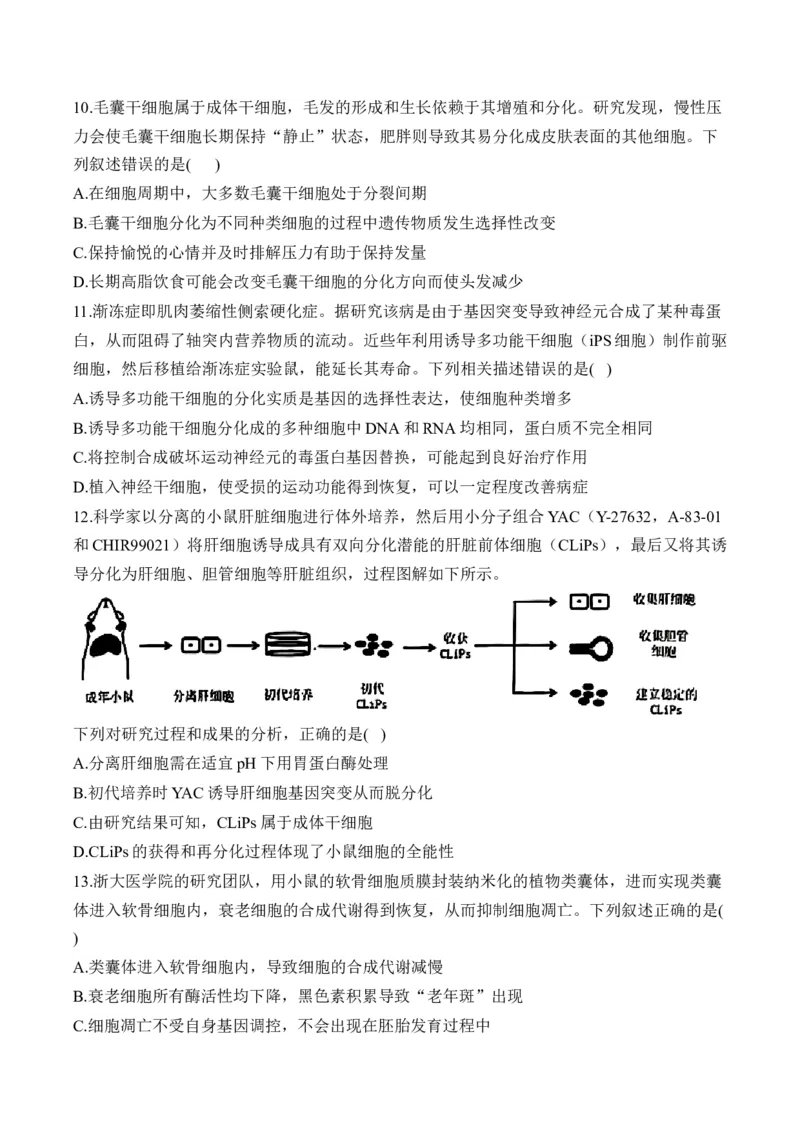 专题五细胞的生命历程&mdash;&mdash;2025届高考生物考点剖析（含解析）_2025年新高考资料_一轮复习_2025届高考生物一轮复习考点剖析练习（有解析）