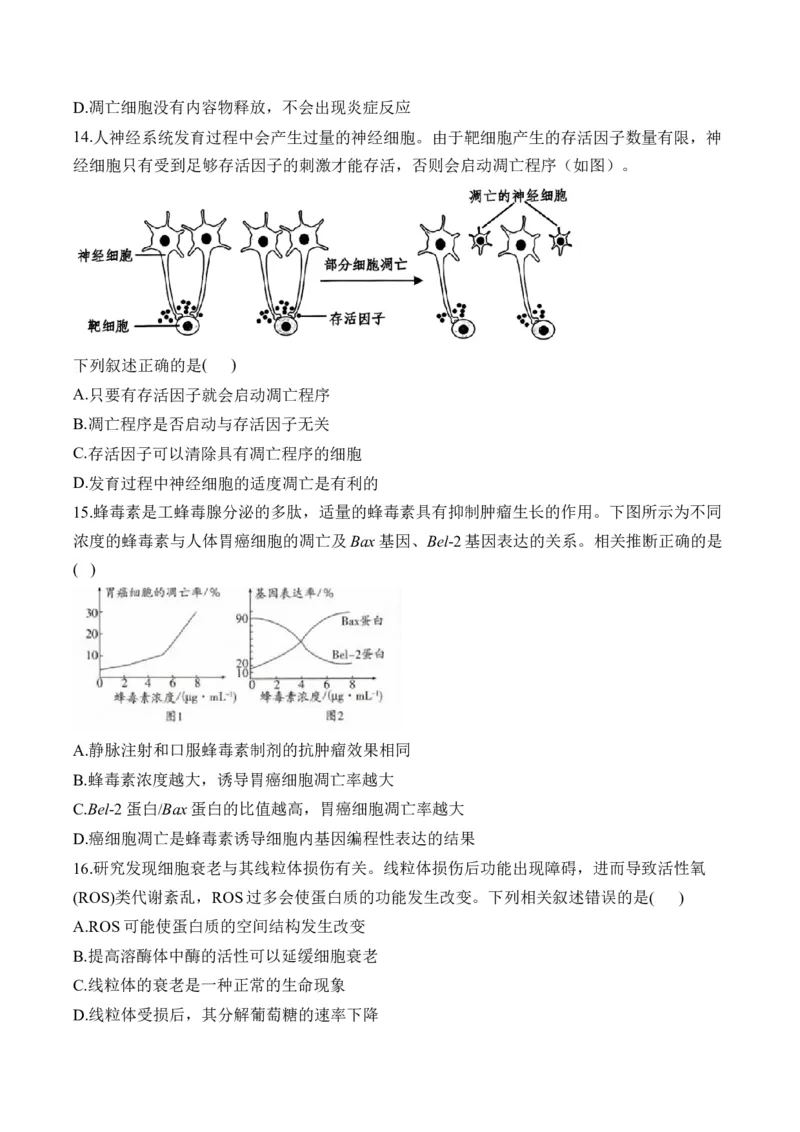专题五细胞的生命历程&mdash;&mdash;2025届高考生物考点剖析（含解析）_2025年新高考资料_一轮复习_2025届高考生物一轮复习考点剖析练习（有解析）