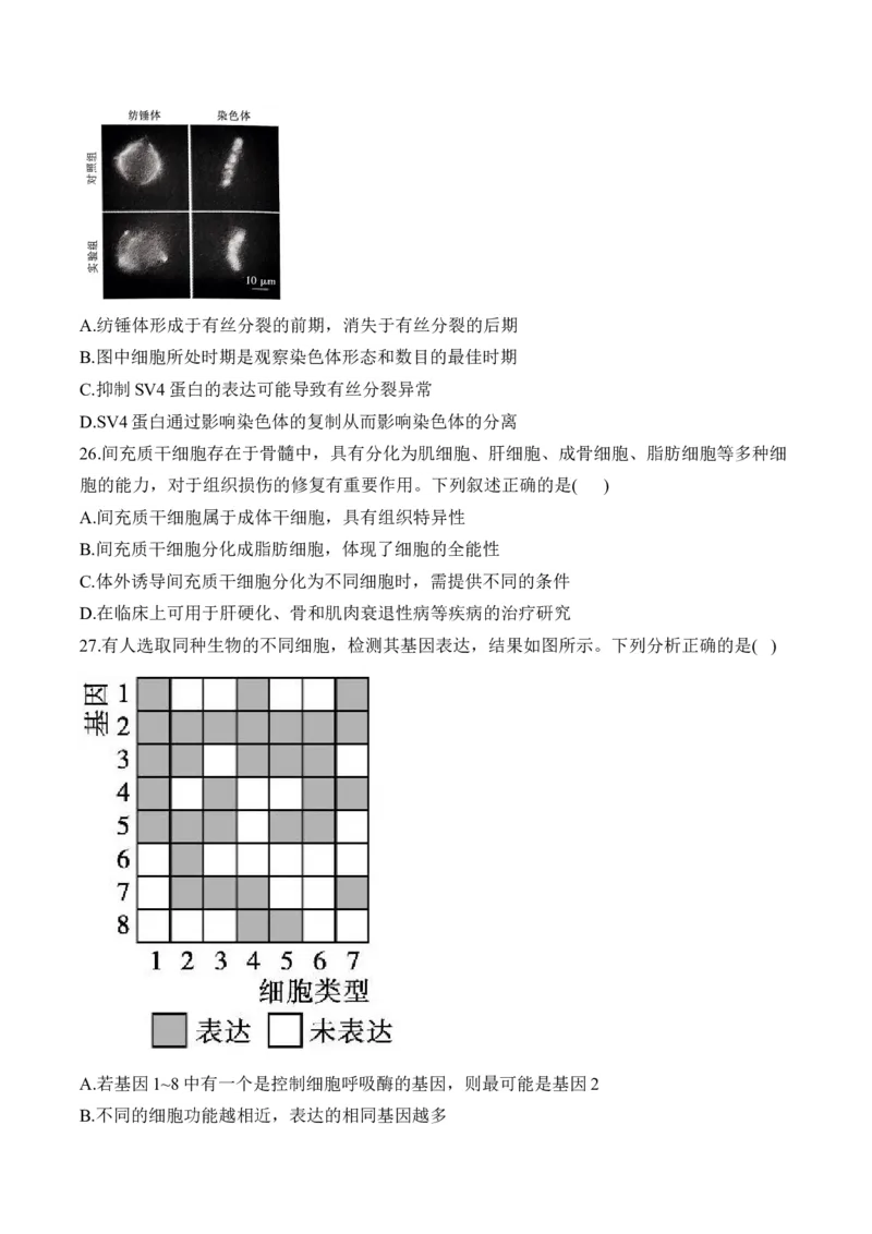 专题五细胞的生命历程&mdash;&mdash;2025届高考生物考点剖析（含解析）_2025年新高考资料_一轮复习_2025届高考生物一轮复习考点剖析练习（有解析）
