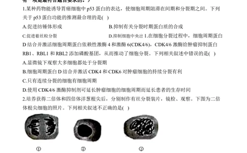 专题五细胞的生命历程&mdash;&mdash;2025届高考生物考点剖析（含解析）_2025年新高考资料_一轮复习_2025届高考生物一轮复习考点剖析练习（有解析）