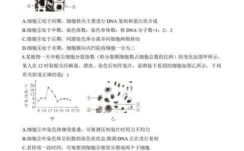 专题五细胞的生命历程&mdash;&mdash;2025届高考生物考点剖析（含解析）_2025年新高考资料_一轮复习_2025届高考生物一轮复习考点剖析练习（有解析）
