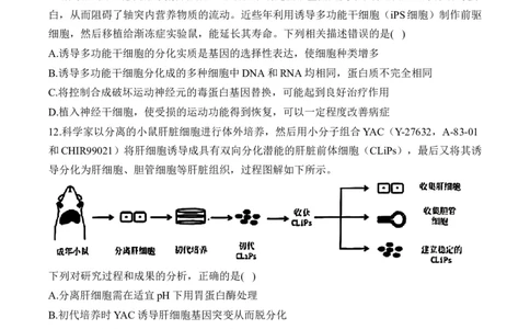 专题五细胞的生命历程&mdash;&mdash;2025届高考生物考点剖析（含解析）_2025年新高考资料_一轮复习_2025届高考生物一轮复习考点剖析练习（有解析）