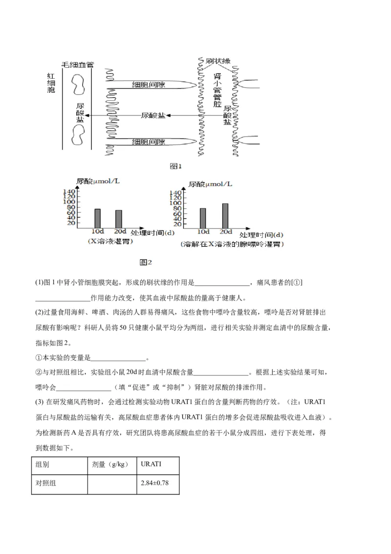 生物03卷（人教版七年级下册全部）-（考试版）A4（范围：七下全册）_new_初中全科电子版试卷练习试题_生物_生物人教版7下练习_人教生物7年级下期末试卷11份
