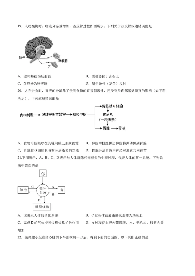 生物03卷（人教版七年级下册全部）-（考试版）A4（范围：七下全册）_new_初中全科电子版试卷练习试题_生物_生物人教版7下练习_人教生物7年级下期末试卷11份