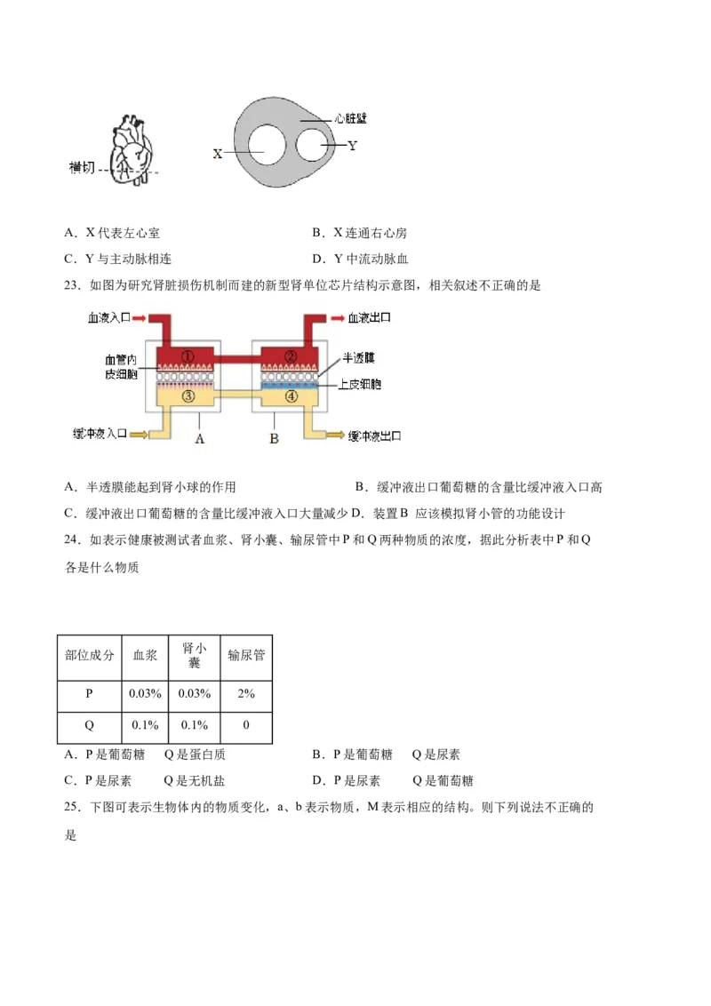 生物03卷（人教版七年级下册全部）-（考试版）A4（范围：七下全册）_new_初中全科电子版试卷练习试题_生物_生物人教版7下练习_人教生物7年级下期末试卷11份