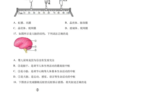 生物03卷（人教版七年级下册全部）-（考试版）A4（范围：七下全册）_new_初中全科电子版试卷练习试题_生物_生物人教版7下练习_人教生物7年级下期末试卷11份