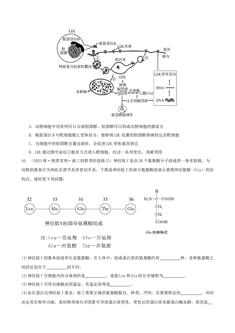 专题综合练01细胞的组成物质以及结构和功能(原卷版)_新高考复习资料_2024年新高考复习资料_一轮复习资料_完备战2024年高考生物一轮复习考点帮（新高考）_必修1