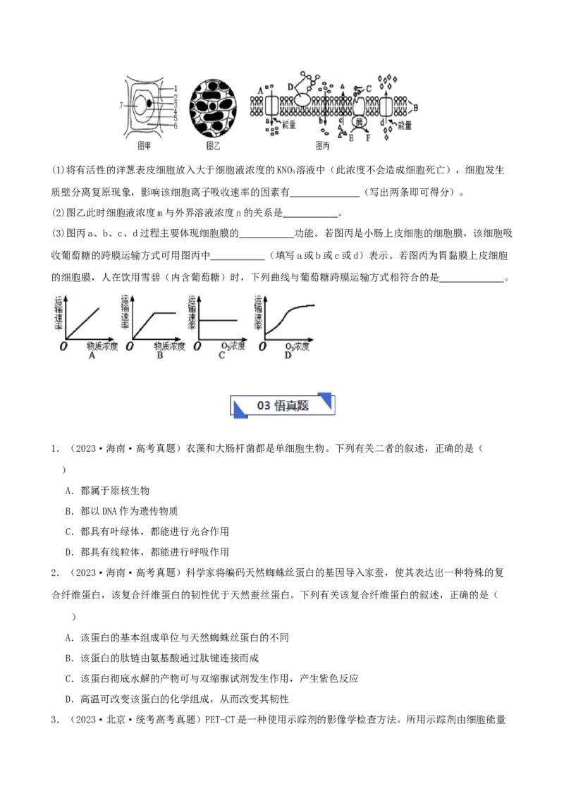 专题综合练01细胞的组成物质以及结构和功能(原卷版)_新高考复习资料_2024年新高考复习资料_一轮复习资料_完备战2024年高考生物一轮复习考点帮（新高考）_必修1