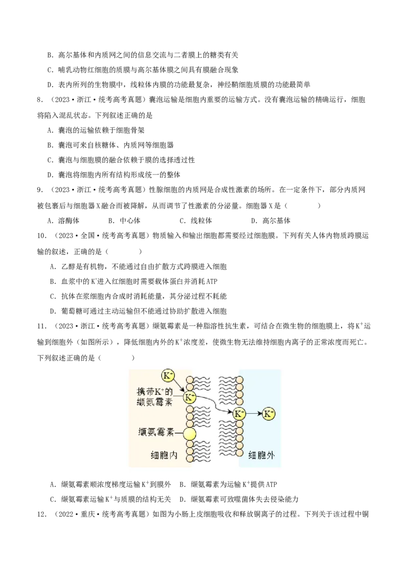 专题综合练01细胞的组成物质以及结构和功能(原卷版)_新高考复习资料_2024年新高考复习资料_一轮复习资料_完备战2024年高考生物一轮复习考点帮（新高考）_必修1