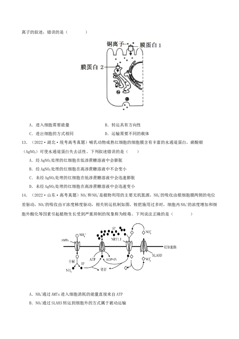 专题综合练01细胞的组成物质以及结构和功能(原卷版)_新高考复习资料_2024年新高考复习资料_一轮复习资料_完备战2024年高考生物一轮复习考点帮（新高考）_必修1
