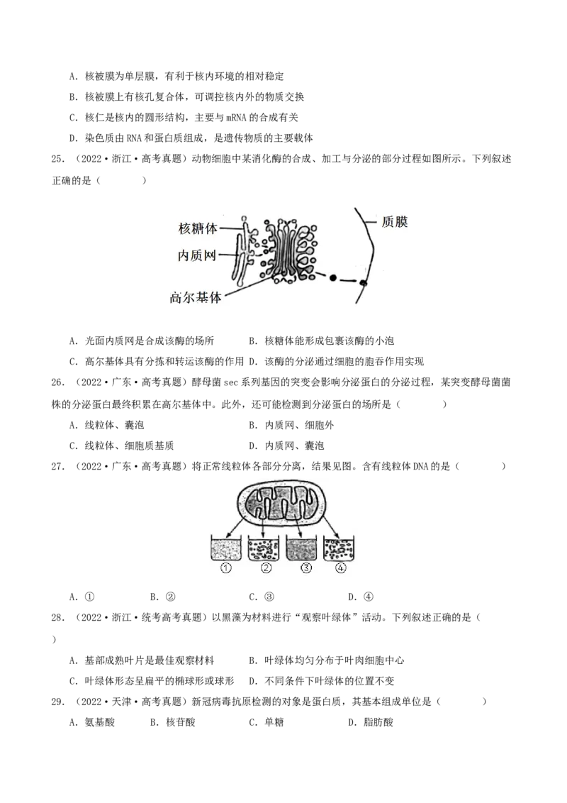专题综合练01细胞的组成物质以及结构和功能(原卷版)_新高考复习资料_2024年新高考复习资料_一轮复习资料_完备战2024年高考生物一轮复习考点帮（新高考）_必修1