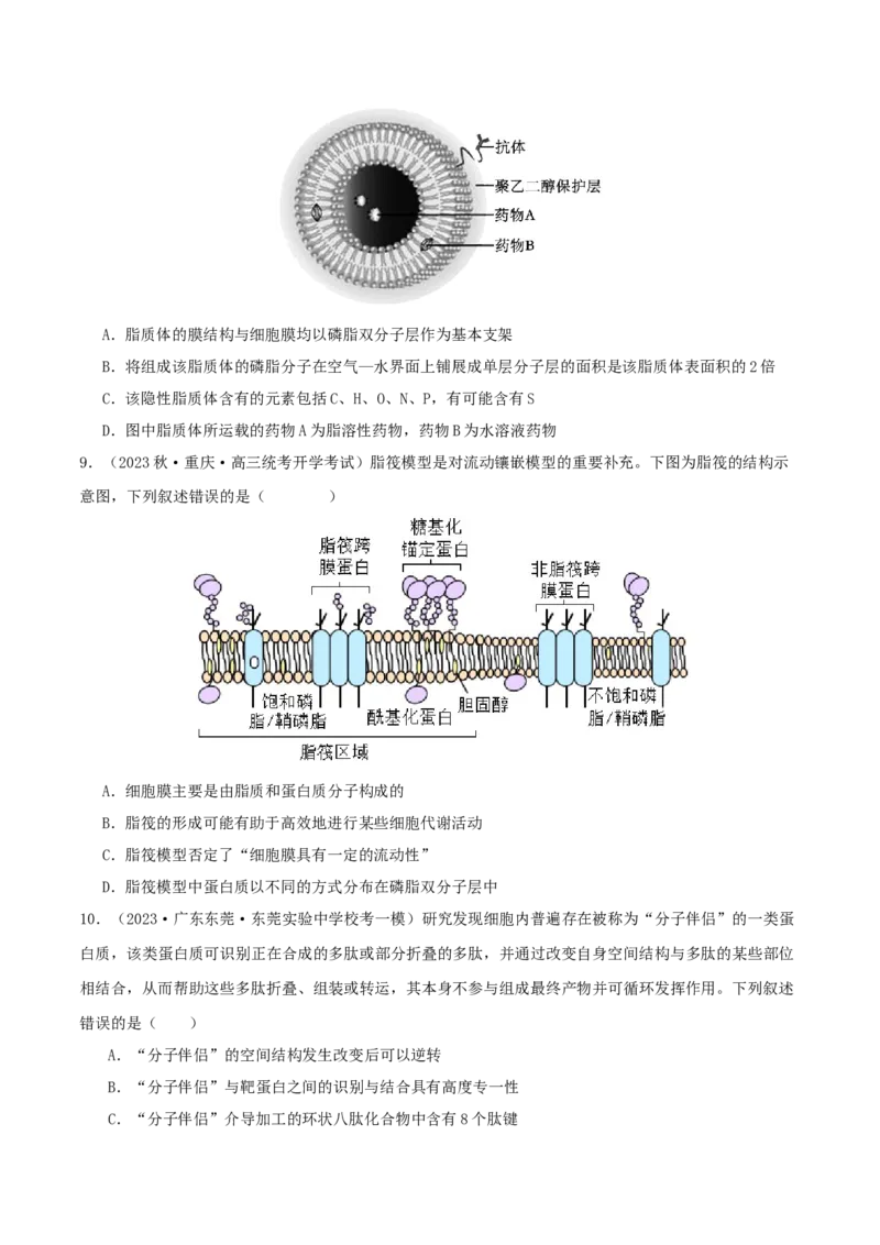 专题综合练01细胞的组成物质以及结构和功能(原卷版)_新高考复习资料_2024年新高考复习资料_一轮复习资料_完备战2024年高考生物一轮复习考点帮（新高考）_必修1