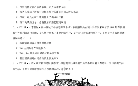 专题综合练01细胞的组成物质以及结构和功能(原卷版)_新高考复习资料_2024年新高考复习资料_一轮复习资料_完备战2024年高考生物一轮复习考点帮（新高考）_必修1