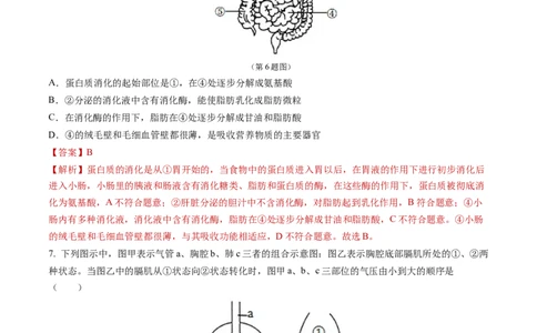 生物（吉林卷）（全解全析）_初中全科电子版试卷练习试题_生物_2024中考模拟题生物(1)_二模_生物（吉林卷）-：2024年中考第二次模拟考试