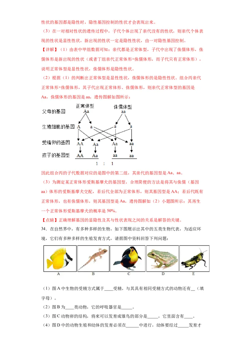 卷03-八年级生物下学期期末综合测试卷（人教版）（解析版）_new_初中全科电子版试卷练习试题_生物_生物8下练习_人教生物8年级下期末试卷12份