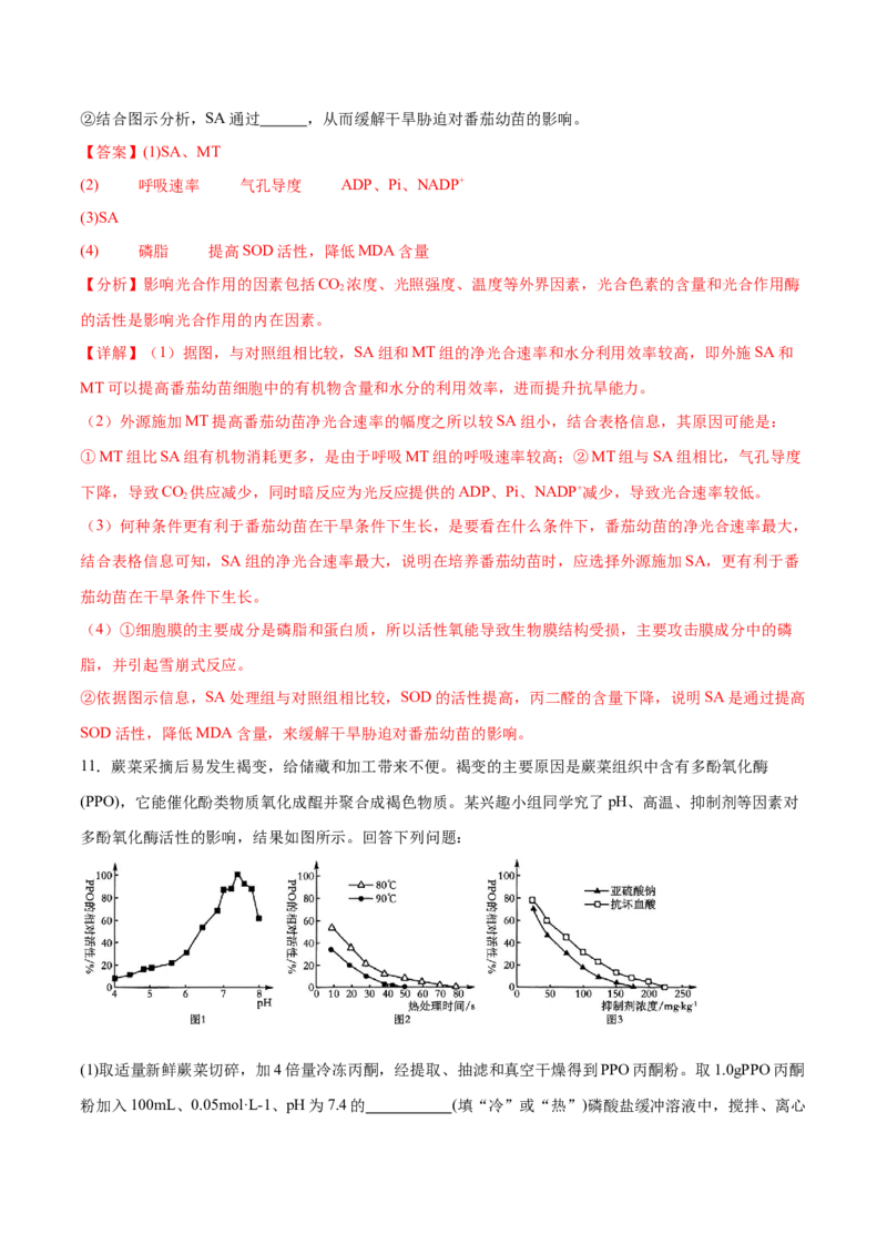 专题十实验与探究（解析版）_2025年新高考资料_二轮复习_01高考语文等多个文件_举一反三2025年高考生物二轮重点专题讲义（新高考通用）