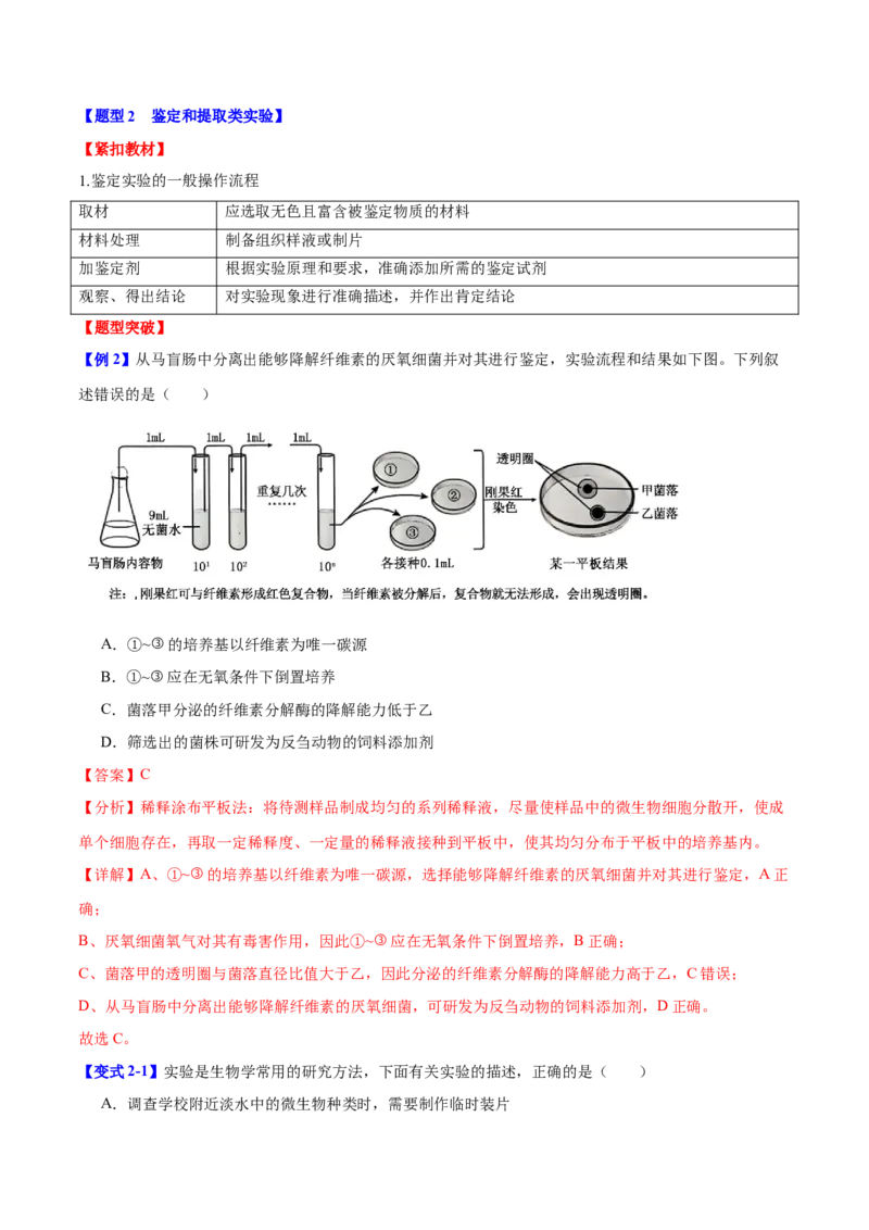 专题十实验与探究（解析版）_2025年新高考资料_二轮复习_01高考语文等多个文件_举一反三2025年高考生物二轮重点专题讲义（新高考通用）