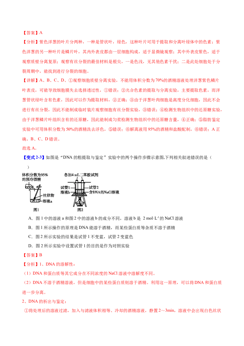 专题十实验与探究（解析版）_2025年新高考资料_二轮复习_01高考语文等多个文件_举一反三2025年高考生物二轮重点专题讲义（新高考通用）