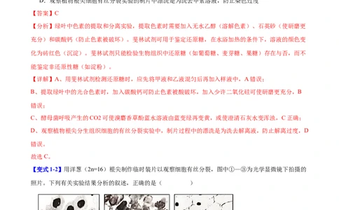 专题十实验与探究（解析版）_2025年新高考资料_二轮复习_01高考语文等多个文件_举一反三2025年高考生物二轮重点专题讲义（新高考通用）
