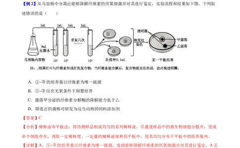 专题十实验与探究（解析版）_2025年新高考资料_二轮复习_01高考语文等多个文件_举一反三2025年高考生物二轮重点专题讲义（新高考通用）