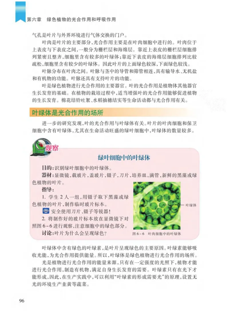 苏教版生物七年级上册_初中电子课本_9.生物_苏教版