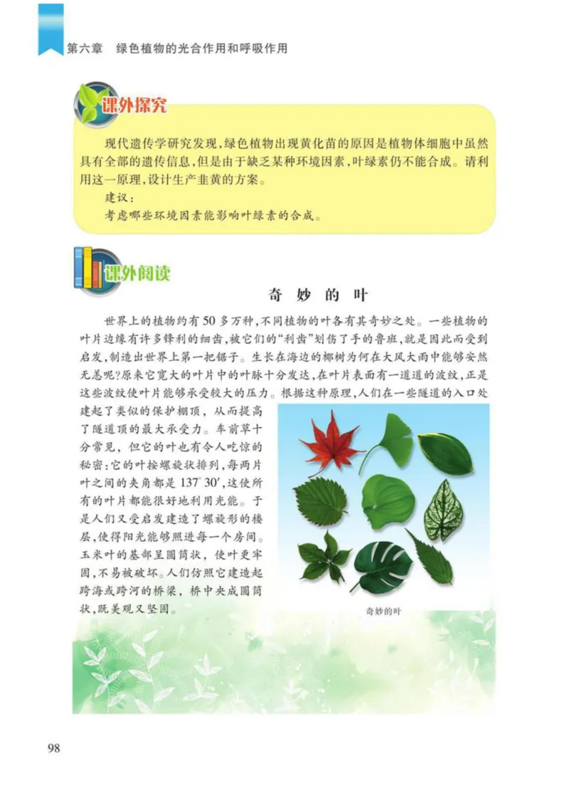 苏教版生物七年级上册_初中电子课本_9.生物_苏教版