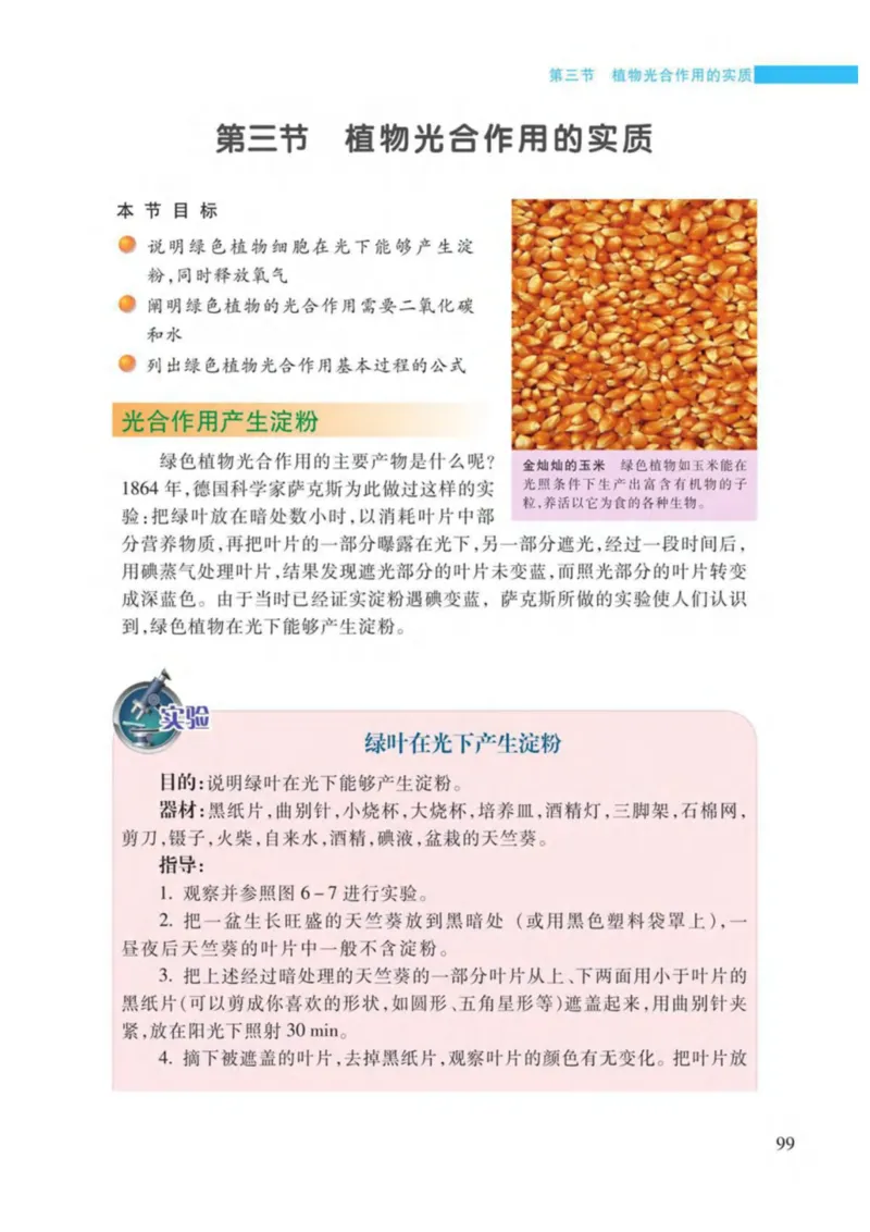 苏教版生物七年级上册_初中电子课本_9.生物_苏教版