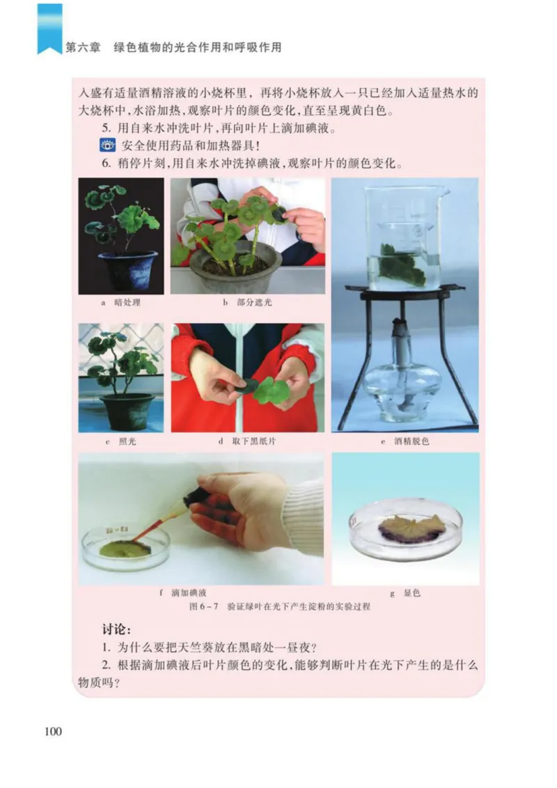 苏教版生物七年级上册_初中电子课本_9.生物_苏教版