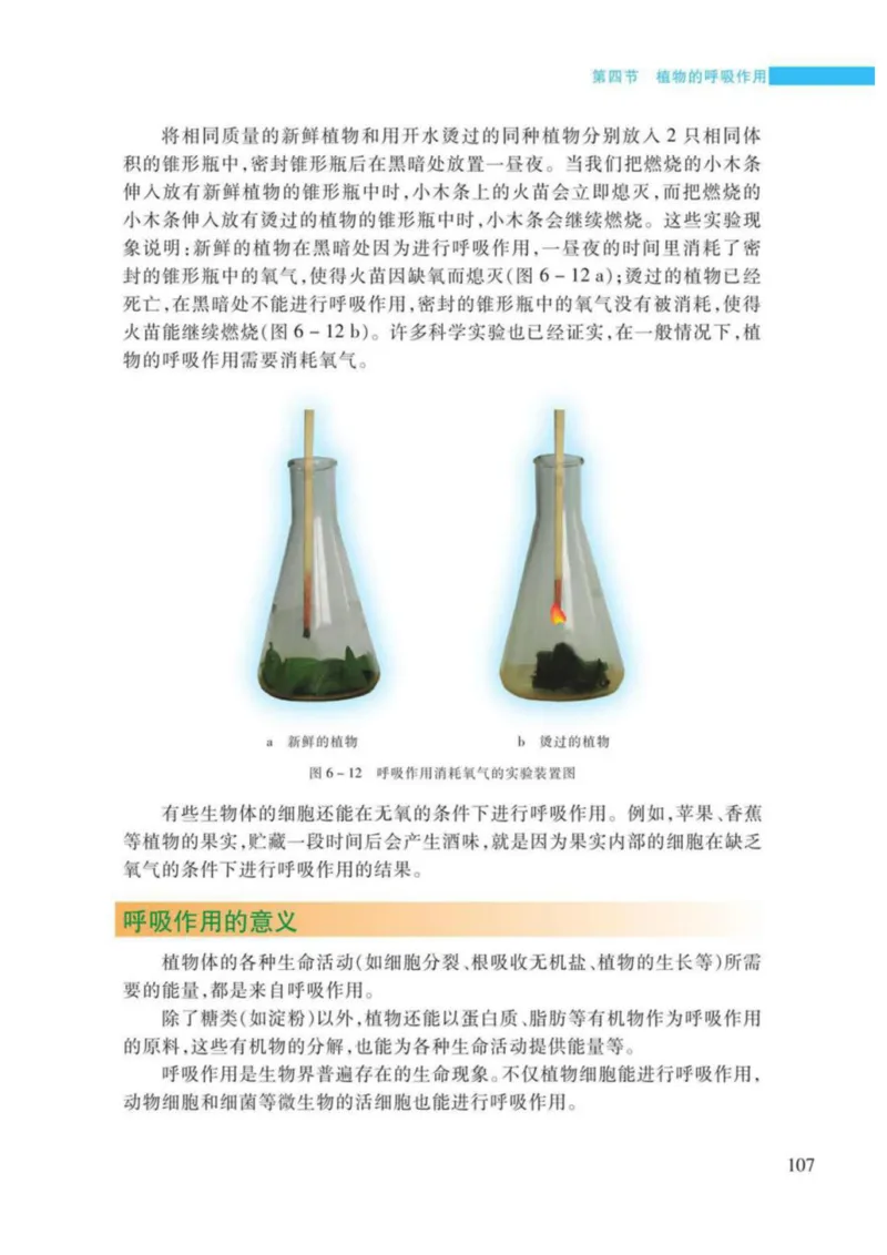 苏教版生物七年级上册_初中电子课本_9.生物_苏教版