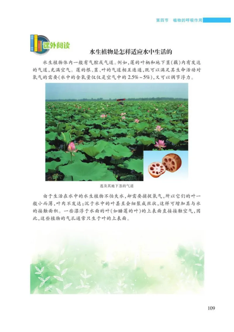 苏教版生物七年级上册_初中电子课本_9.生物_苏教版