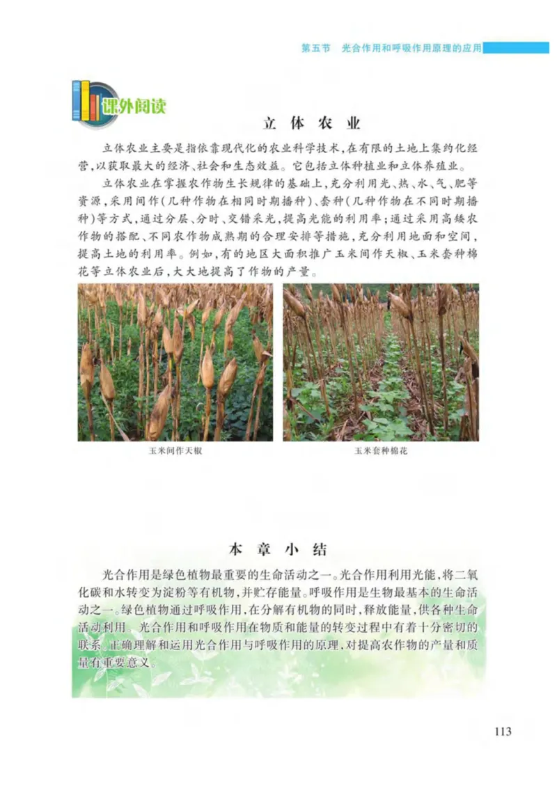 苏教版生物七年级上册_初中电子课本_9.生物_苏教版