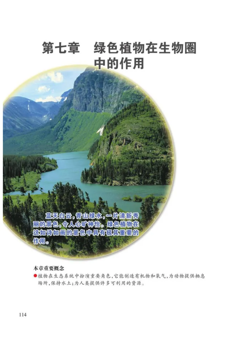 苏教版生物七年级上册_初中电子课本_9.生物_苏教版
