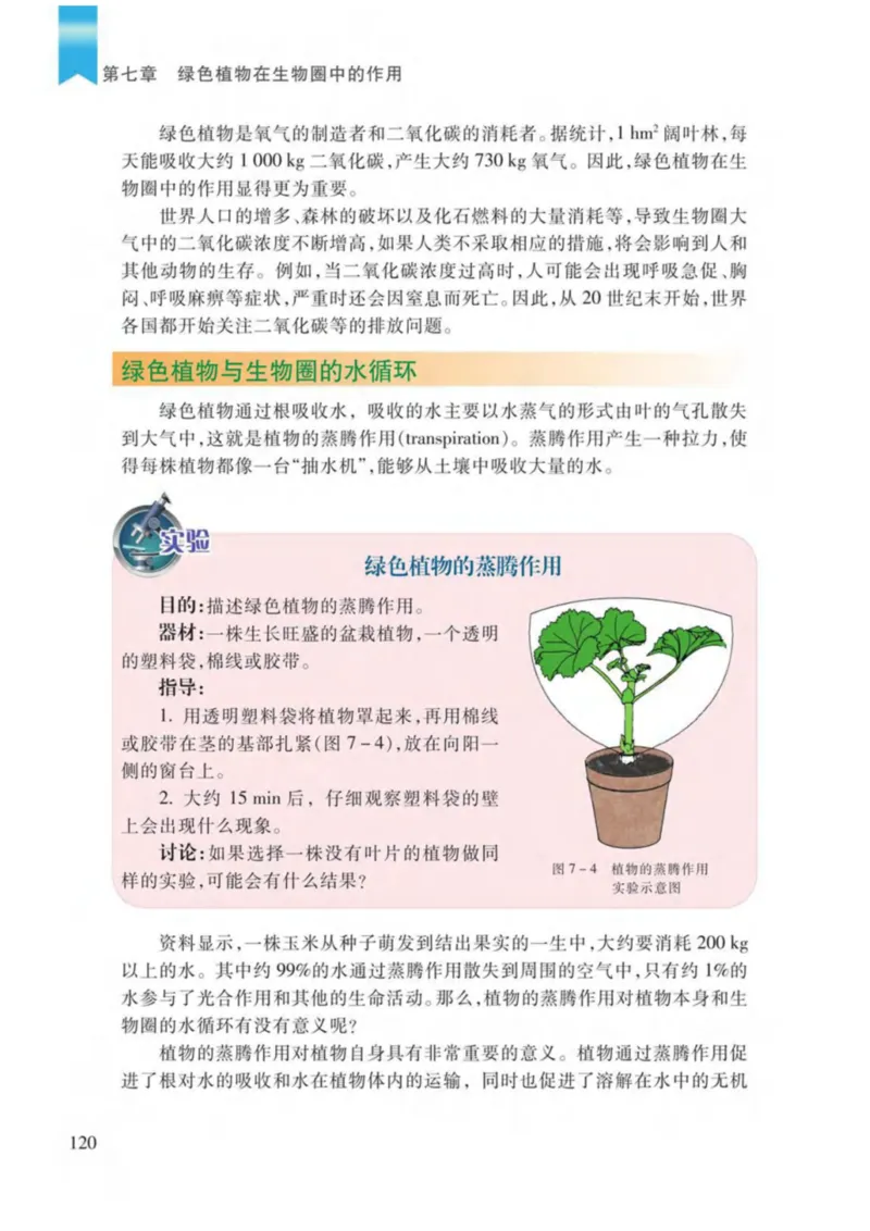 苏教版生物七年级上册_初中电子课本_9.生物_苏教版
