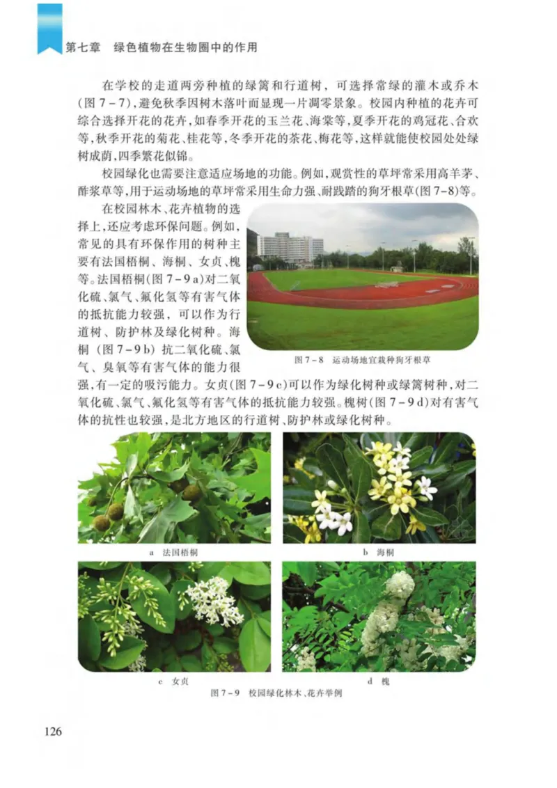 苏教版生物七年级上册_初中电子课本_9.生物_苏教版