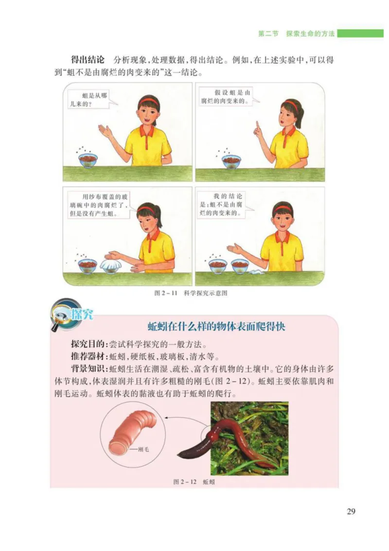 苏教版生物七年级上册_初中电子课本_9.生物_苏教版