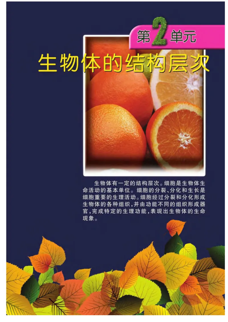 苏教版生物七年级上册_初中电子课本_9.生物_苏教版