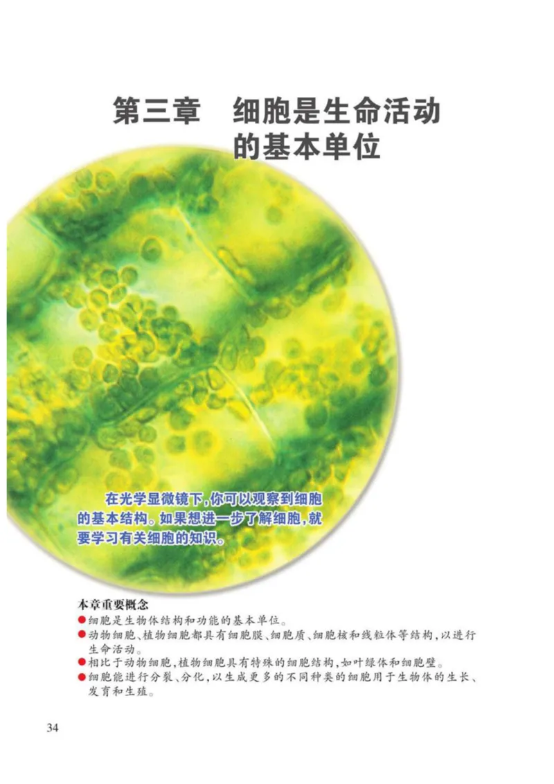 苏教版生物七年级上册_初中电子课本_9.生物_苏教版