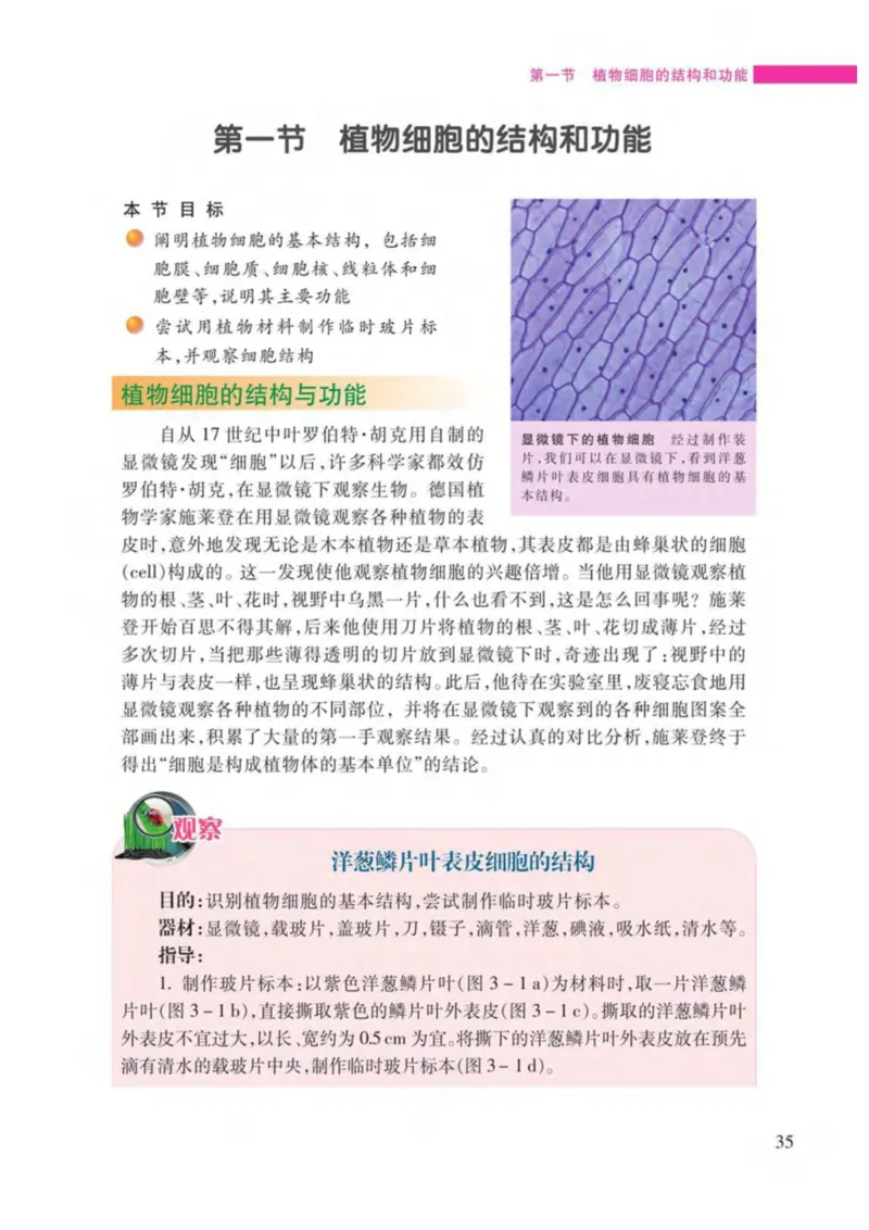 苏教版生物七年级上册_初中电子课本_9.生物_苏教版