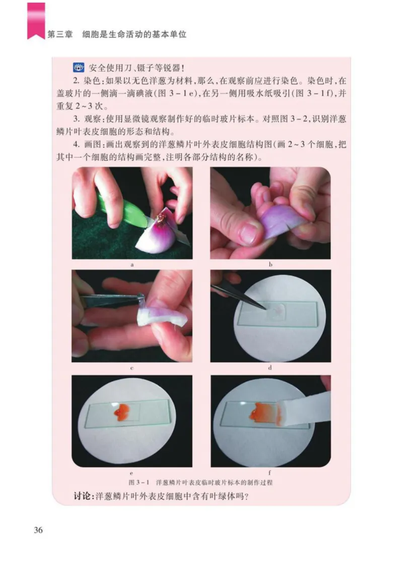苏教版生物七年级上册_初中电子课本_9.生物_苏教版