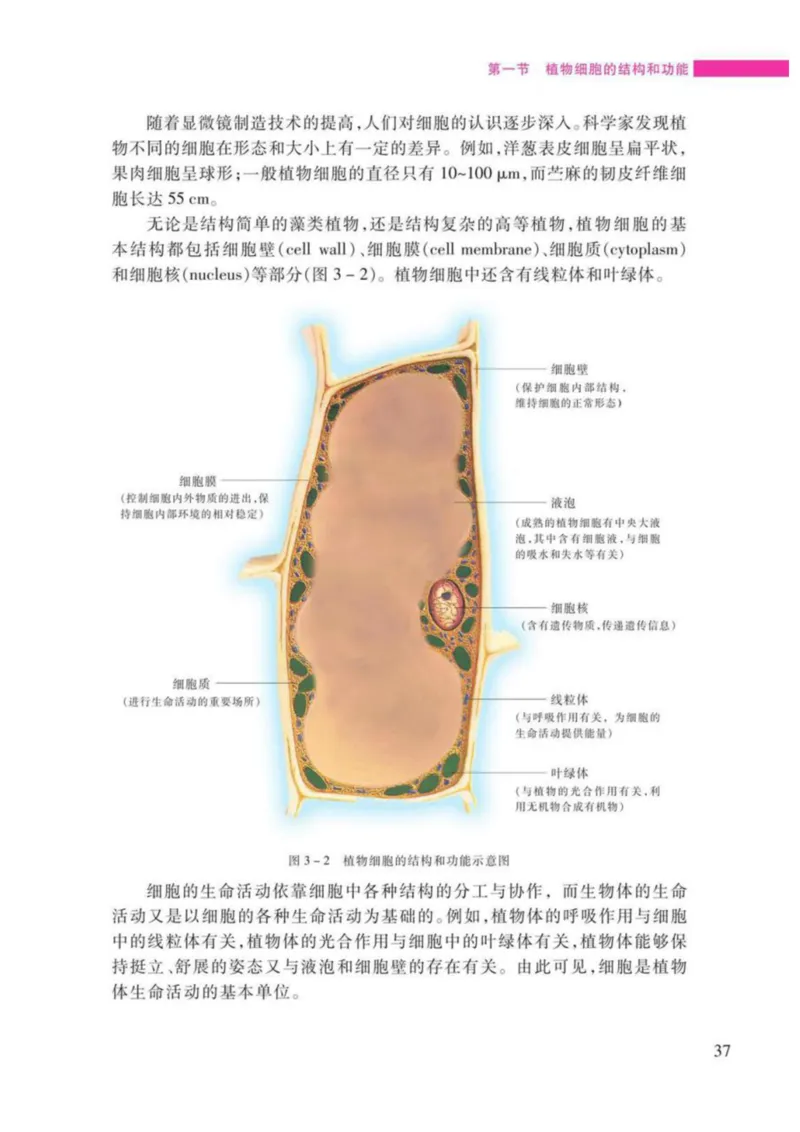 苏教版生物七年级上册_初中电子课本_9.生物_苏教版