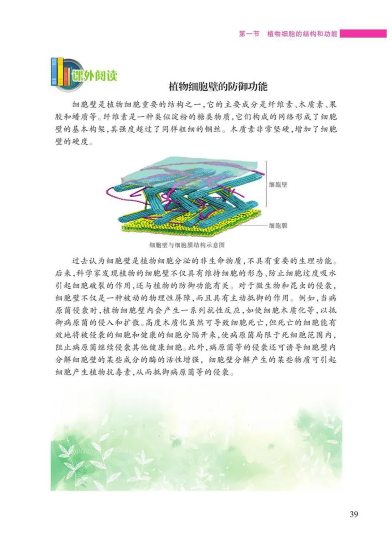 苏教版生物七年级上册_初中电子课本_9.生物_苏教版