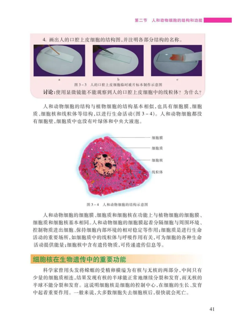 苏教版生物七年级上册_初中电子课本_9.生物_苏教版