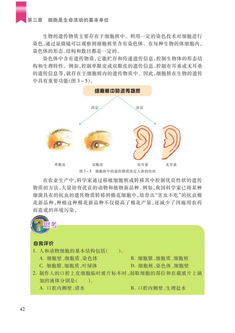 苏教版生物七年级上册_初中电子课本_9.生物_苏教版