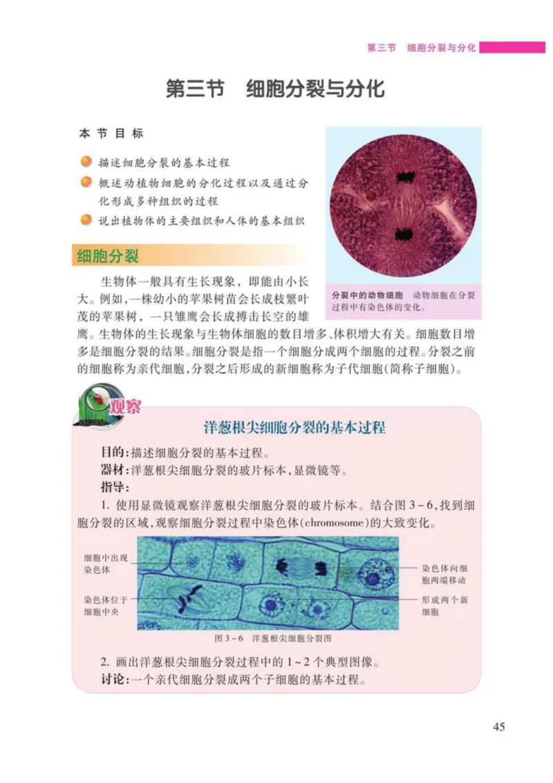 苏教版生物七年级上册_初中电子课本_9.生物_苏教版