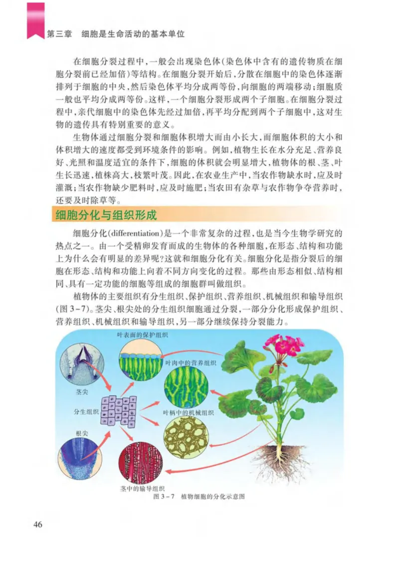 苏教版生物七年级上册_初中电子课本_9.生物_苏教版
