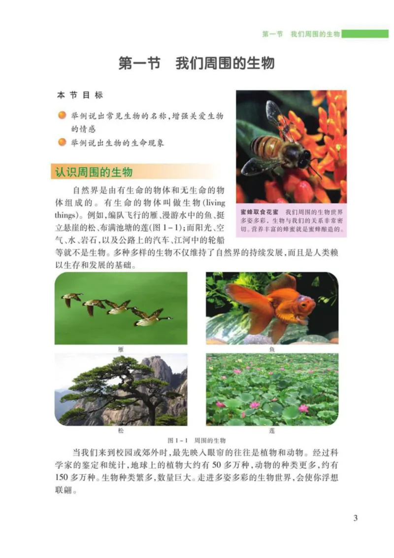 苏教版生物七年级上册_初中电子课本_9.生物_苏教版