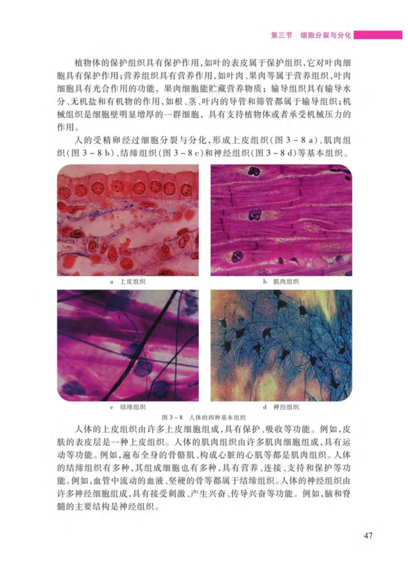 苏教版生物七年级上册_初中电子课本_9.生物_苏教版
