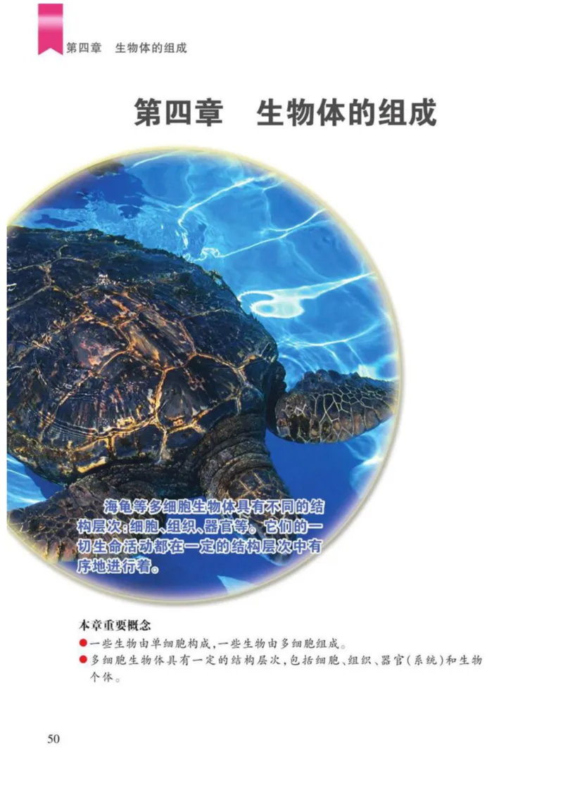 苏教版生物七年级上册_初中电子课本_9.生物_苏教版